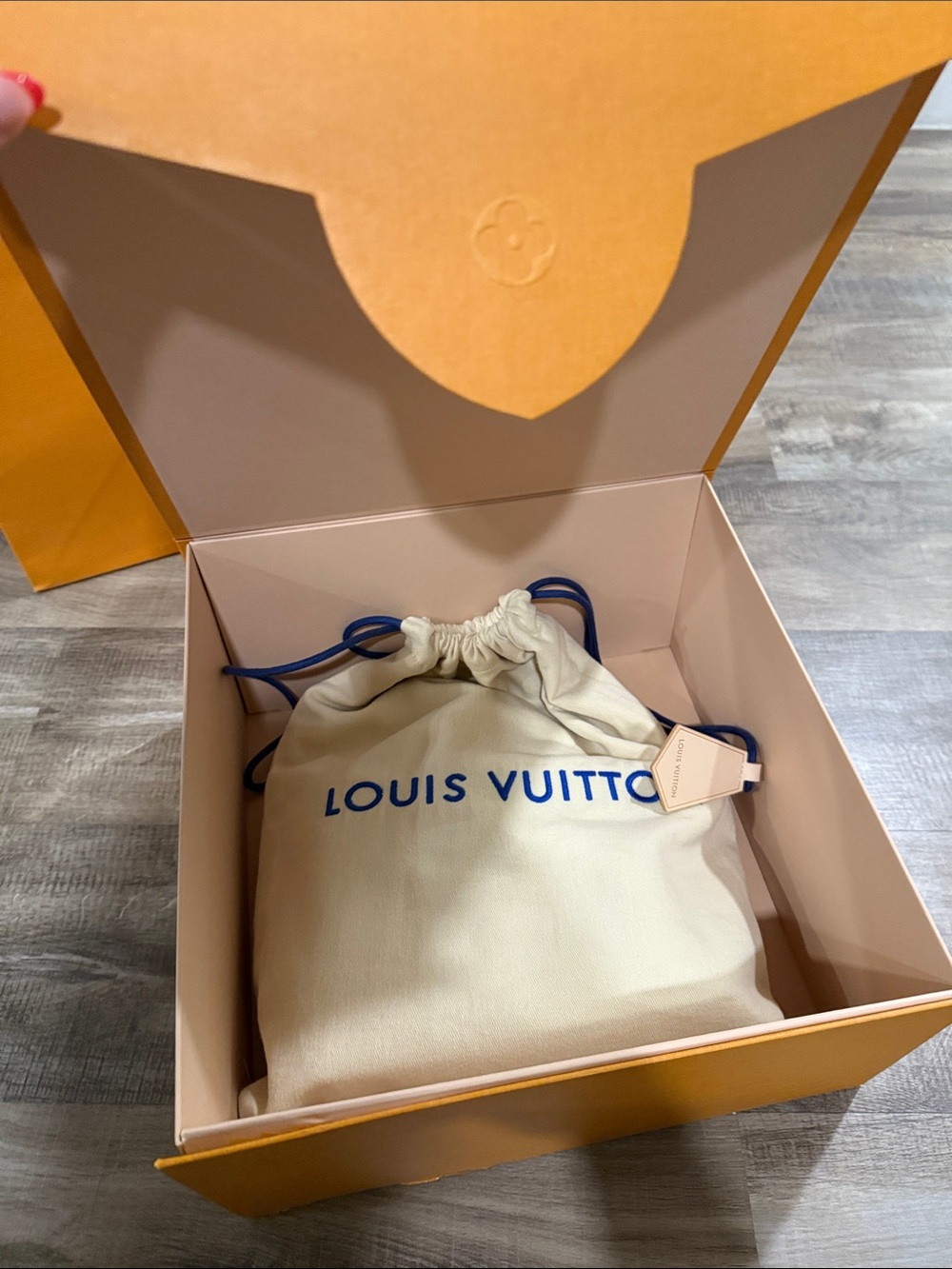 Louis Vuitton Capucines Mini Bag Exotic Ostrich in Mint Green - Picture 14 of 15